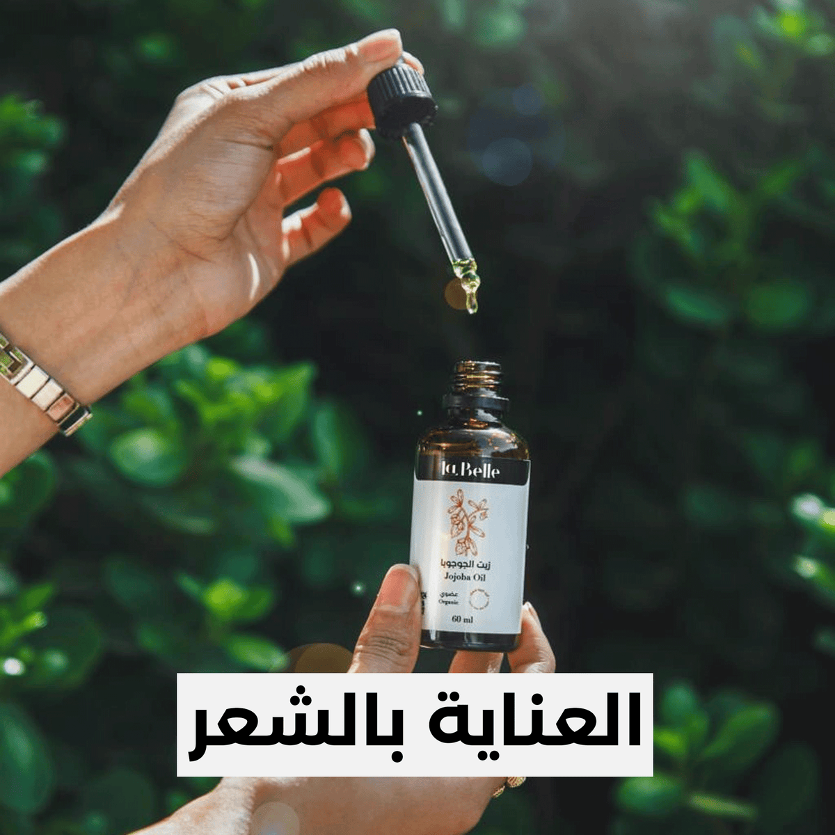 العناية بالشعر